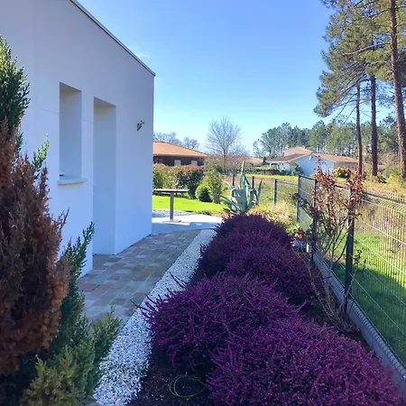 Pignada Tatil Evi Lanton